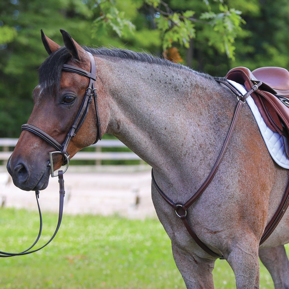 🎁✈️😊Camelot, Dark Brown, English Breast-collar